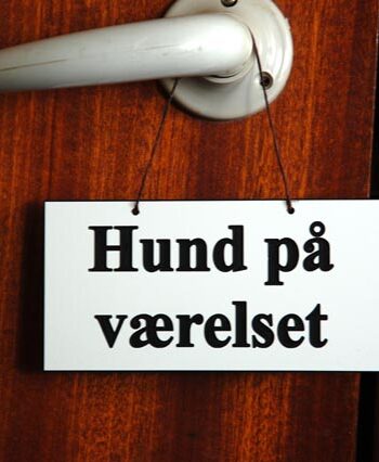 Skilt: Hund På Værelset  Kan Evt  Hænges På Døren
