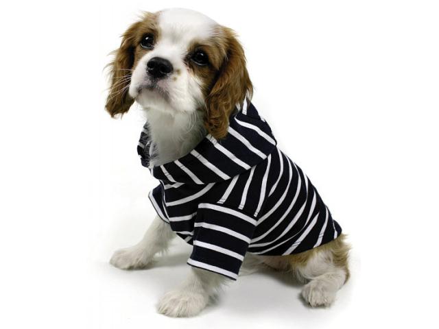 Sømands -shirt Hætte