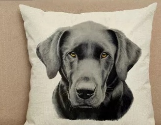 122 Sofapude Med Hundemotiv  45x45cm