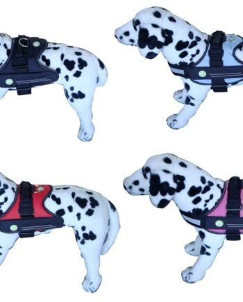 Sport Dog Sele