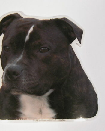 Staffordshire Bull Terrier  Hv  Vælg: Klistermærke  Nøglering  Broche  Slipsenål  Mm