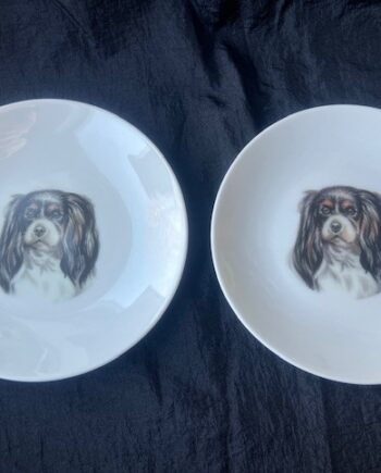 Tallerken Med Cavalier King Charles Spaniel  1stk