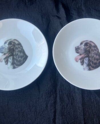 Tallerken Med Engelsk Springer Spaniel  1stk