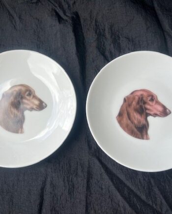 Tallerken Med Langhåret Gravhund  1stk