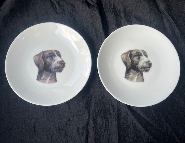Tallerken Med Ruhåret Hønsehund 1stk