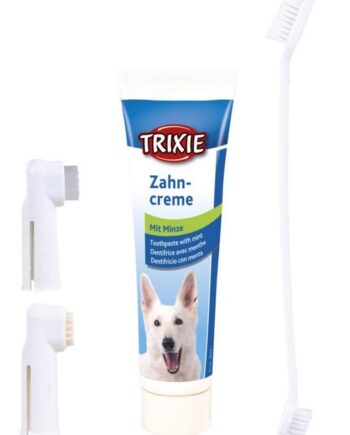 Tandplejesæt