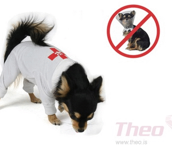 Theo Recover Overall Beskyttelsesdragt