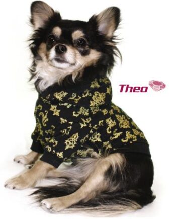 Theo Short Sleeve Hoodie Hættetrøje