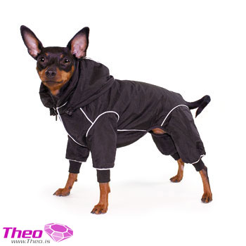 Theo Snow Sne Overall