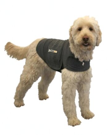Thundershirt   -shirten Der Virker Beroligende På Hunden