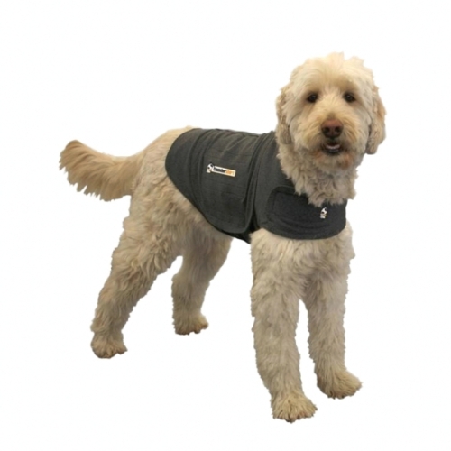 Thundershirt -shirten Der Virker Beroligende På Hunden