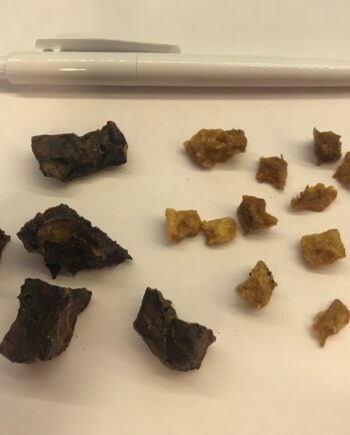 Treat Time  Naturlige Godbidder  100g    Varianter