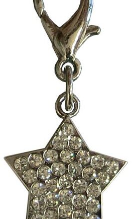Vedhæng   Quot Diamant Quot -stjerne   Sølv-look