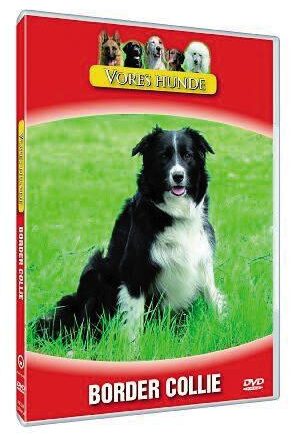 Vores Hunde Border Collie