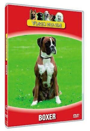 Vores Hunde Boxer
