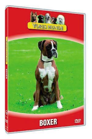Vores Hunde Boxer