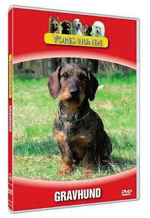 Vores Hunde Gravhund
