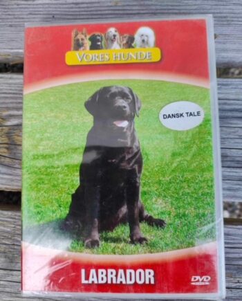 Vores Hunde Labrador