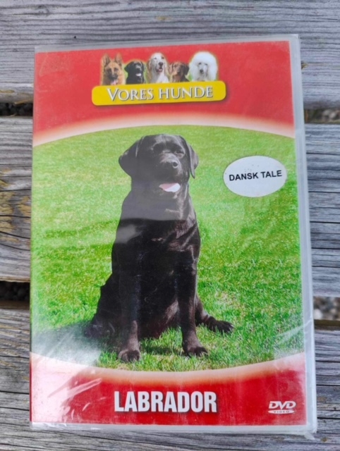 Vores Hunde Labrador