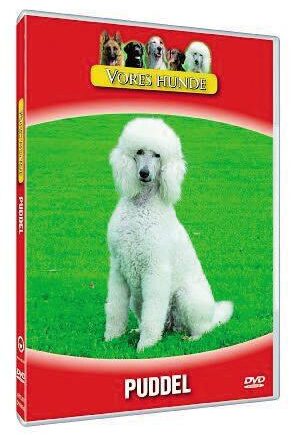 Vores Hunde Puddel