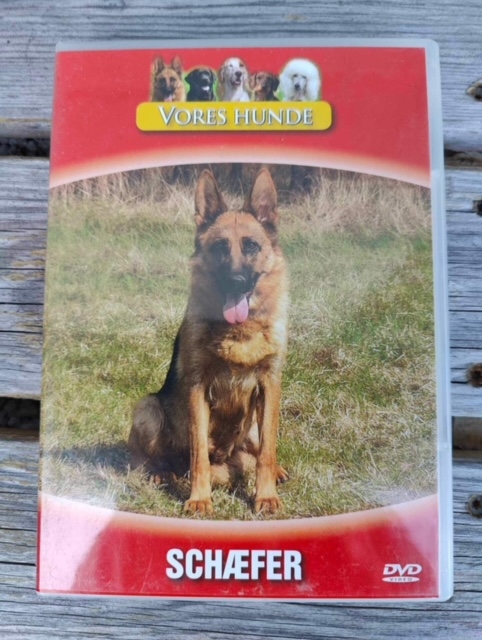 Vores Hunde Schæfer