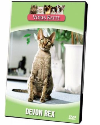 Vores Katte  Devon Rex