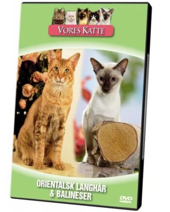 Vores Katte  Orientalsk Langhår   Balineser