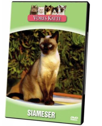 Vores Katte  Siameser