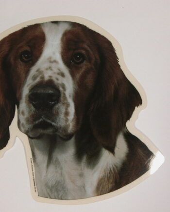 Welsh Springer Spaniel  Hv  Vælg: Klistermærke  Nøglering  Broche  Slipsenål  Mm