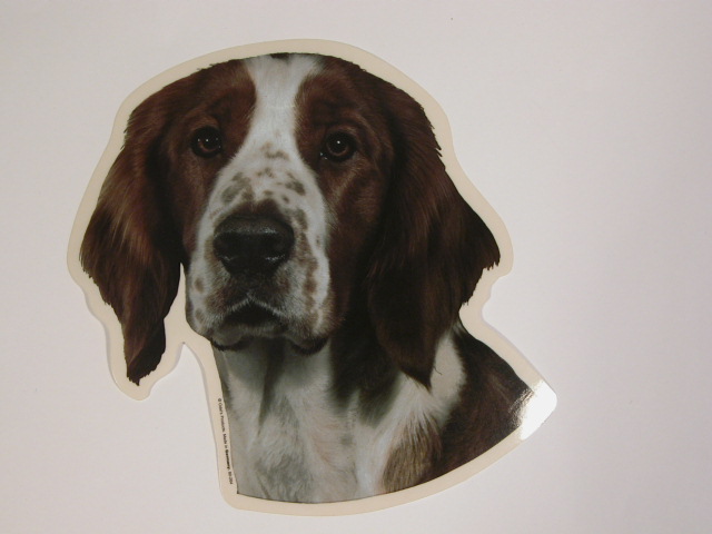Welsh Springer Spaniel Hv Vælg: Klistermærke Nøglering Broche Slipsenål Mm