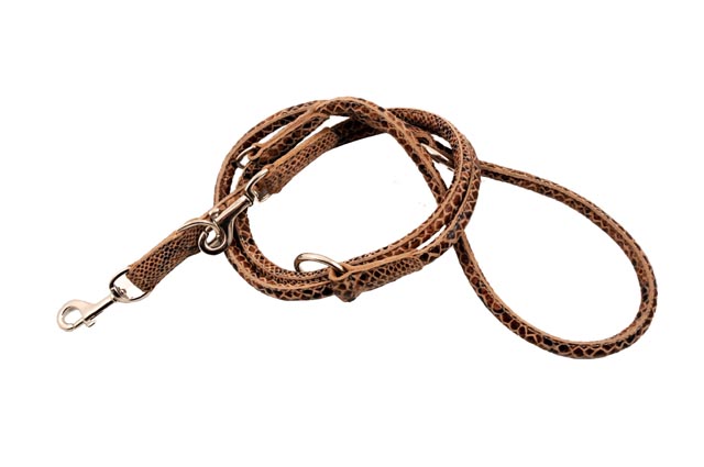 -cool Dressurline Quot Fat Snake Quot Beige Brun