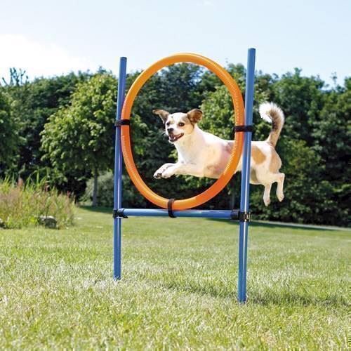 Agility Ring Til Spring Agility Hjul