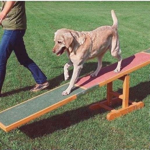 Agility Vippe Balance Bom Til Hunde