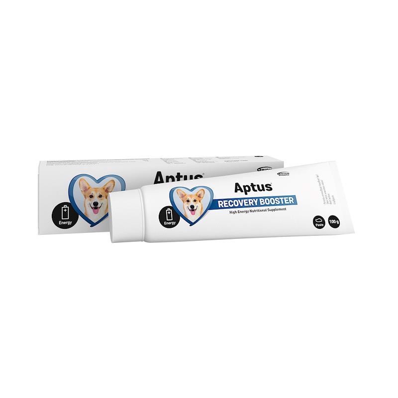 Aptus Recovery Booster 100g