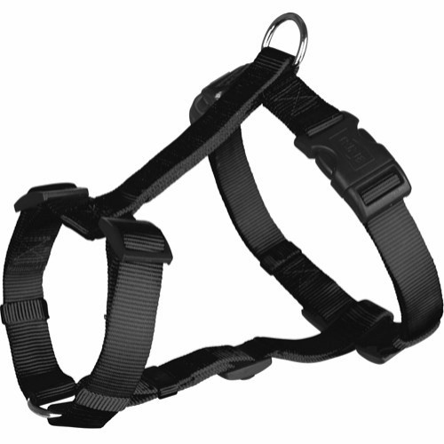 Classic -sele Sort 30-40 Cm