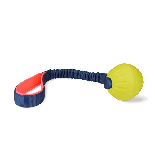 Coachi Tuggy Ball Med Bungee Stræk