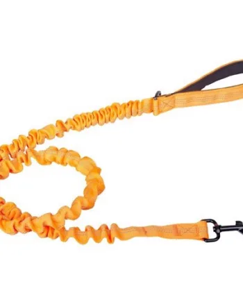 Companion Elastik Hundesnor  Orange  120 Cm