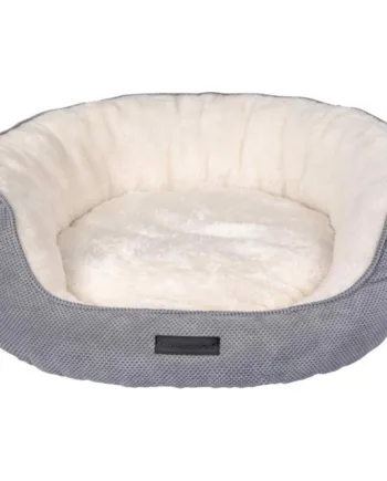 Companion Hundeseng  Shell Shape  50   40 Cm