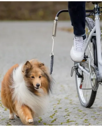 Cykel Afstandsholder Til Cykelturen Med Hunden