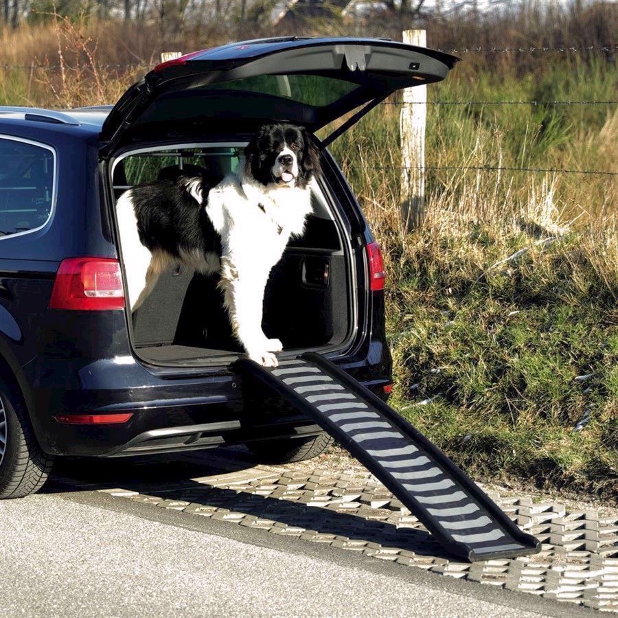 Hunderampe Sammenklappelig 39 160 Cm