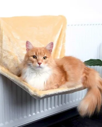 Hyggeplads Til Radiatoren