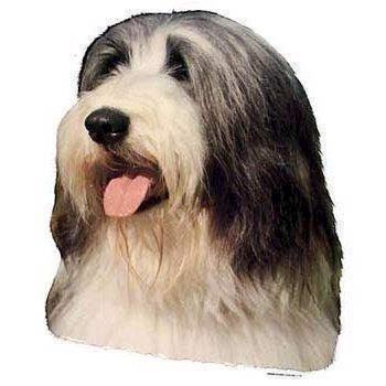 Klistermærke  Bearded Collie