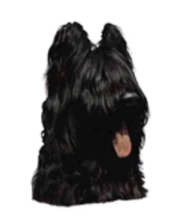 Klistermærke  Briard