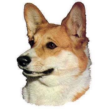 Klistermærke  Welsh Corgi Pembroke