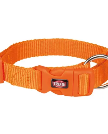 Nylon Halsbånd  Papaya  35-55 Cm  20 Mm