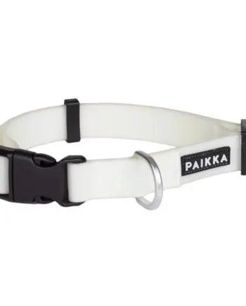 Paikka Glow Collar Hvid   Fluorescerende Halsbånd  23 30 Cm