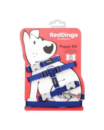Red Dingo Hvalpesæt  Blå