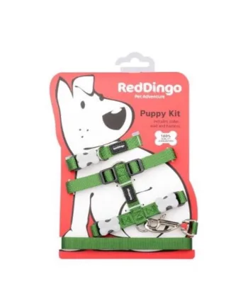 Red Dingo Hvalpesæt  Grøn