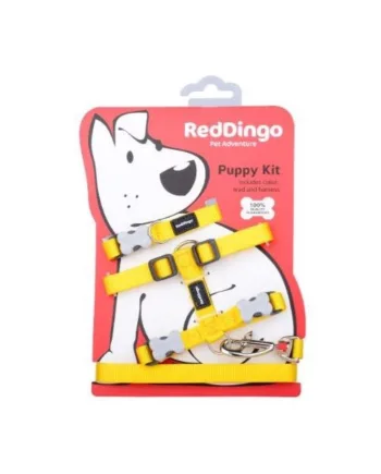 Red Dingo Hvalpesæt  Gul