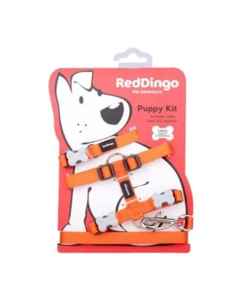 Red Dingo Hvalpesæt  Orange